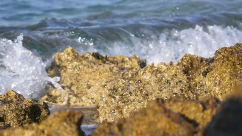 Ocean waves crash gently against the textured golden coastal rocks. Stock Footage 337412582