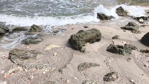 Ocean waves crash onto sandy shore with frothy white foam Stock-Footage 342084893