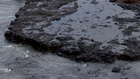 Ocean Waves Crashing Against Basalt Rock Tide Pools in Mornington Peninsula Stock Footage 344938150