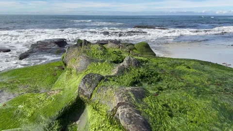 Ocean Waves Crashing Against Moss-Covered Rocks Video stock 324199406