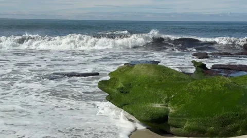 Ocean Waves Crashing Against Moss-Covered Rocks Video stock 324199407