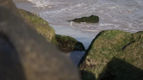 Ocean waves crashing against mossy rocks on a sandy beach Stock Footage 345443046