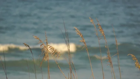 Ocean Waves Crashing Stock Footage 92709833