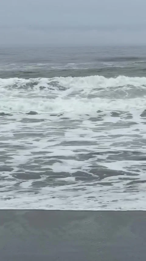 Ocean Waves Crashing on Overcast Sandy Beach Stock Footage 341133046