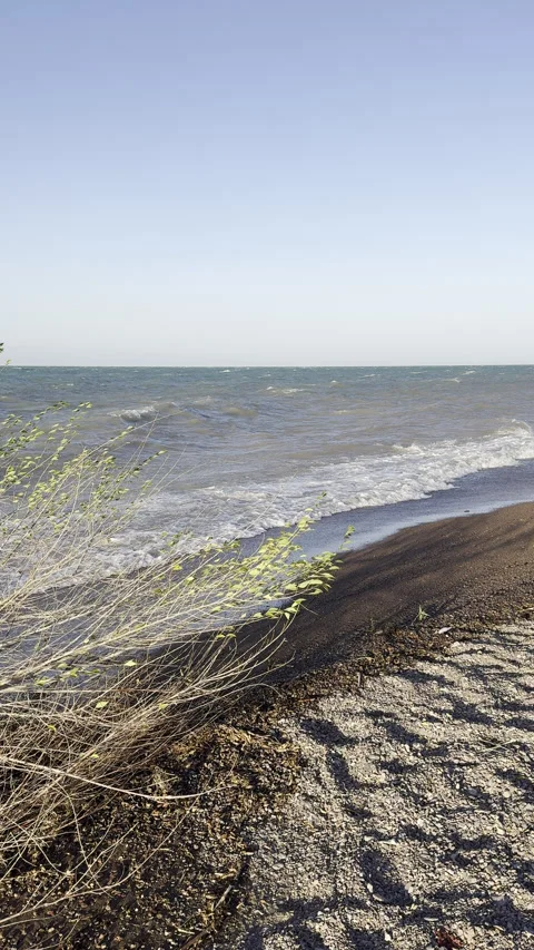 Ocean waves crashing on pebbly beach with green bushes under clear blue sky Stock Footage 338289270