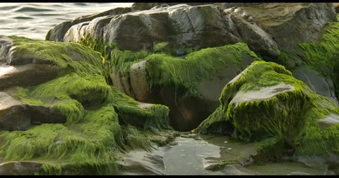 Ocean waves crashing on the rocks Stock Footage 62469049