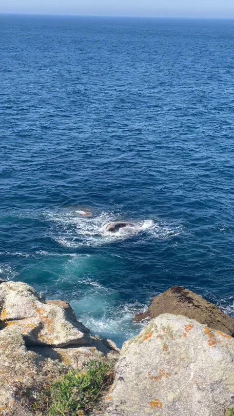 Ocean waves crashing on rocks viewed from a high rocky cliff Stock Footage 340027873