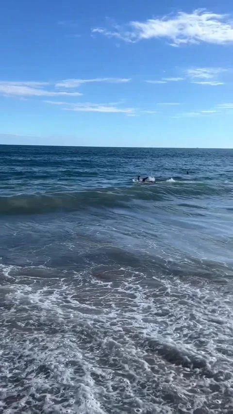 Ocean Waves Crashing on Sandy Beach in Salvador Bahia Brazil 스톡 동영상 343440853