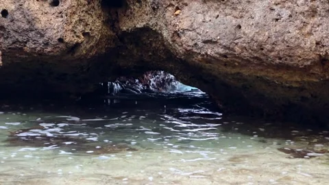 Ocean waves crashing under a rock formation in Oahu Hawaii Stock Footage 279909852