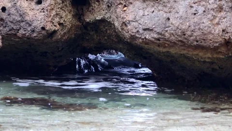Ocean waves crashing under a rock formation in Oahu Hawaii Stock Footage 279909860