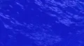 Ocean Waves CU LM07 Loop Animation HD Footage