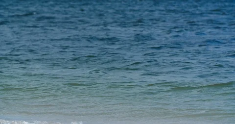 Ocean Waves Dance and Crash Into the Shore Vidéo 95636673