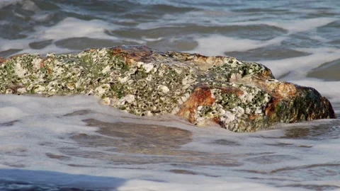 Ocean Waves Flowing Over Coastal Rock Stock Footage 335669914