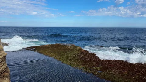 Ocean Waves Flowing Over Flat Coastal Rocks, Sydney Gordons Bay, Video Stock Footage 338429717