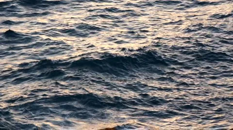 Ocean waves Stock Footage 5604962