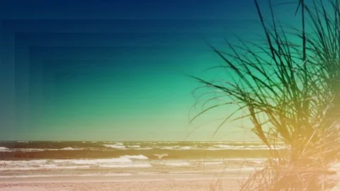 Ocean Waves Stock Footage 91551996