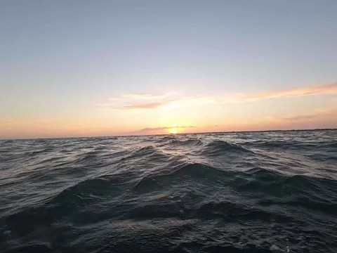 Ocean Waves 動画素材 165015382