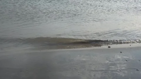 Ocean Waves Stock Footage 270010646