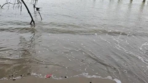 Ocean waves Stock Footage 316579287