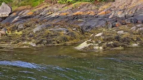 Ocean waves gently hitting coastal rocks Stock Footage 340582815