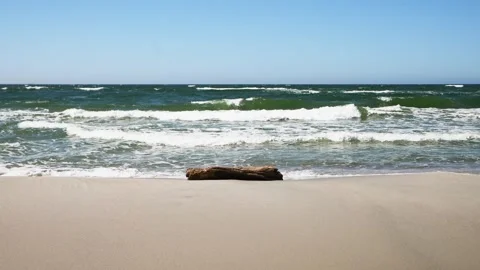Ocean waves gently reaching sandy shore with drifting log under clear blue sk Stock Footage 335941893