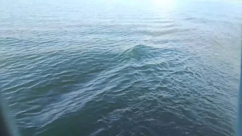 Ocean waves gently ripple under bright sky on sunny morning outdoor scene. 스톡 동영상 346617502