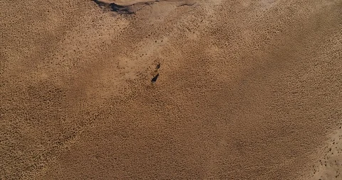 Ocean waves go to the shore of the sand. The view from the top, the copter takes Stock Footage 107358852
