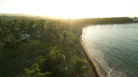 Ocean Waves in Golden Light-10 動画素材 321949718