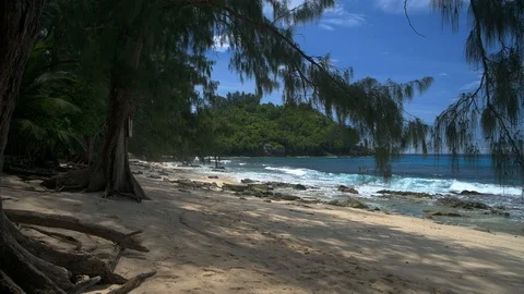 Ocean waves, granite rocks and pines - Petite Police Beach Mahe, Seychelles. Stock Footage 124490432