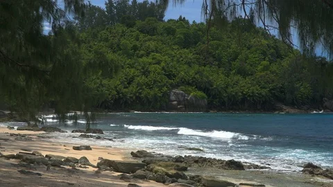 Ocean waves granite rocks and pines Petite Police Beach Mahe Island Seychelles. Stock Footage 124858840