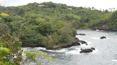Ocean waves in Hamakua Wide Video stock 44878266