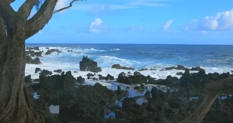 Ocean waves in Hawaii Stock Footage 86609585
