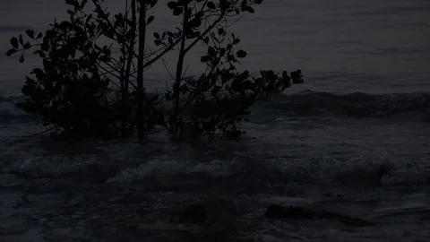 Ocean waves hit the rocky shore in slow motion. Stock Footage 99809995