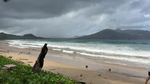 Ocean Waves Hitting the Beach Sand Video stock 311353888