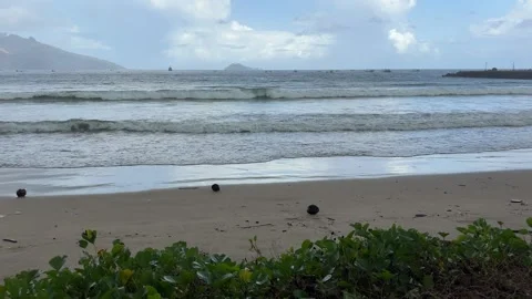 Ocean Waves Hitting the Beach Sand Stock Footage 311353913
