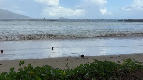 Ocean Waves Hitting the Beach Sand Stock Footage 311353917