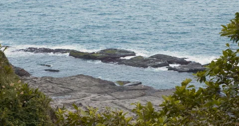 Ocean waves hitting the mosses covered rocky coastline and tree leaves in the fo 動画素材 135978992