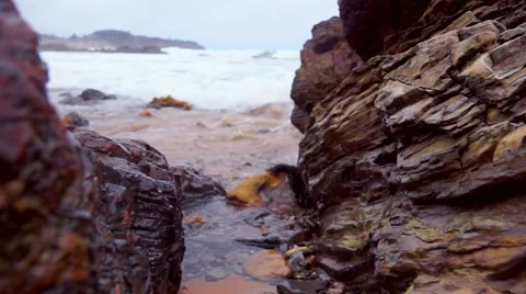Ocean waves hitting rocks seaweed floating Stock Footage 66557021