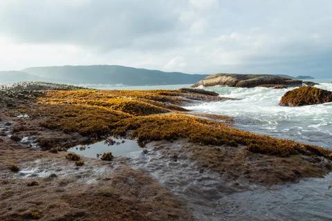 Ocean waves hitting rocks at sunset Stock Photos