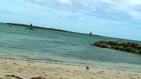 Ocean waves hitting the sand Stock Footage 53243988