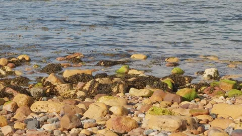 Ocean waves lapping over rocky pebble beach slow motion stock footage Stock Footage 338031712