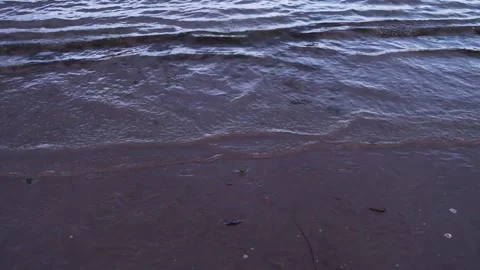 Ocean waves lapping over sandy beach slow motion stock footage Vídeo Stock 315289041