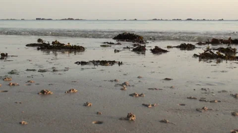 Ocean Waves near the beach 動画素材 38046289