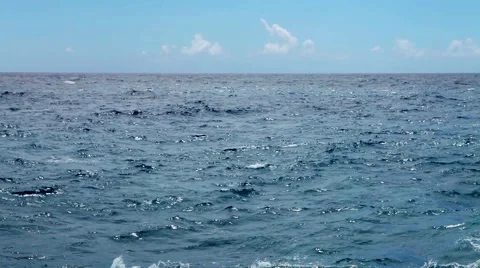 Ocean waves near shore. Stock Footage 51840845
