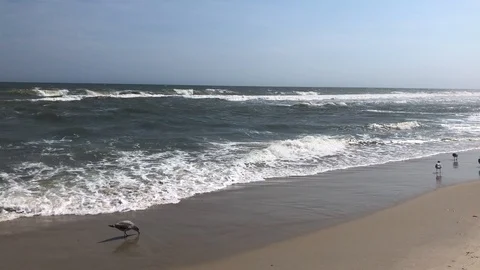 Ocean Waves in New Jersey Stock Footage 120307173