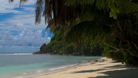 Ocean waves palm trees and granite rocks - Seychelles Mahe Island. Stock Footage 122522978
