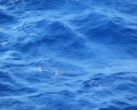 Ocean Waves Passing 01 PAL Stock-Footage 9360361