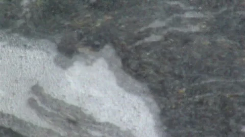 Ocean waves on pebbles V5 - HD Stock-Footage 779262