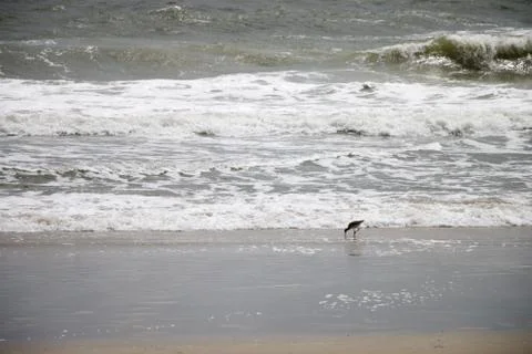 Ocean Waves Stock Photos