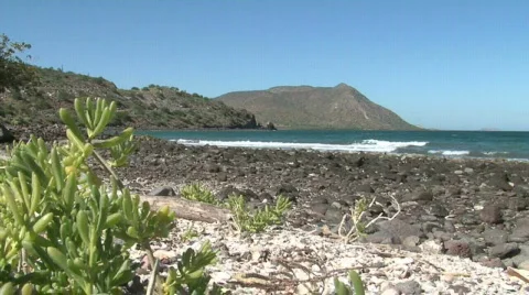 Ocean waves with plants and rocks Stock Footage 299122